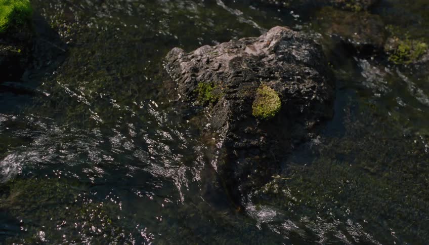 A close-up, top-down view of clear water flowing around a mossy rock in a sunlit stream