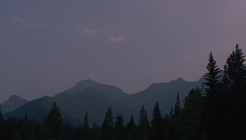 A time-lapse captures stars streaking across the purple twilight sky above a silhouetted mountain range and forest