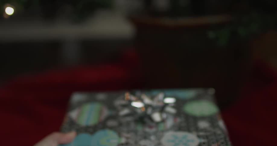 A wrapped gift is placed under a christmas tree