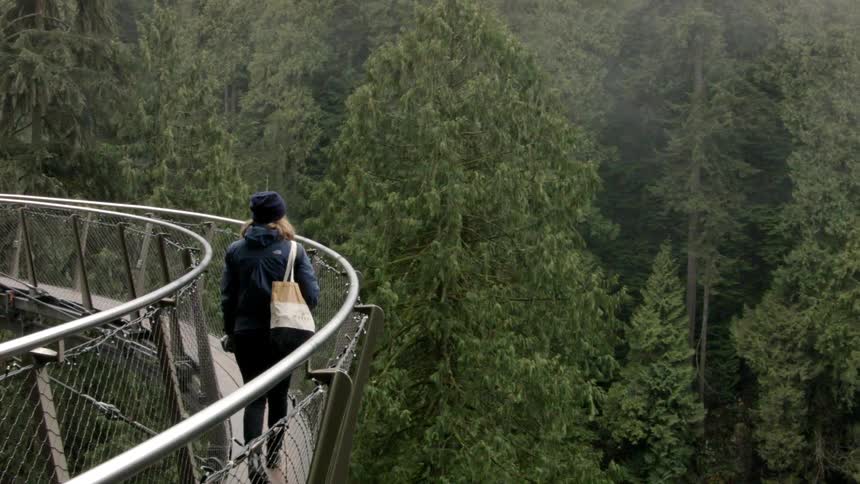 A woman walks on a bridge in a forest