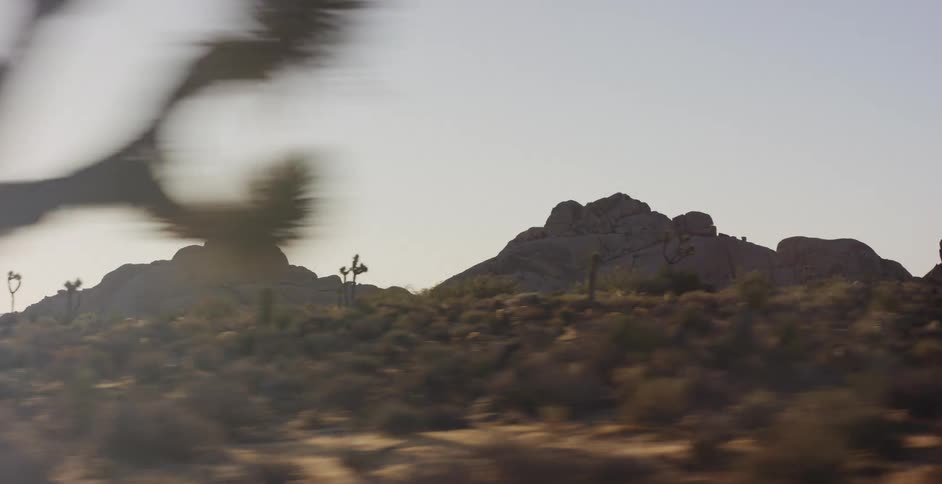 A scenic driving shot past the iconic Joshua trees and large rock formations in the desert during a hazy golden hour