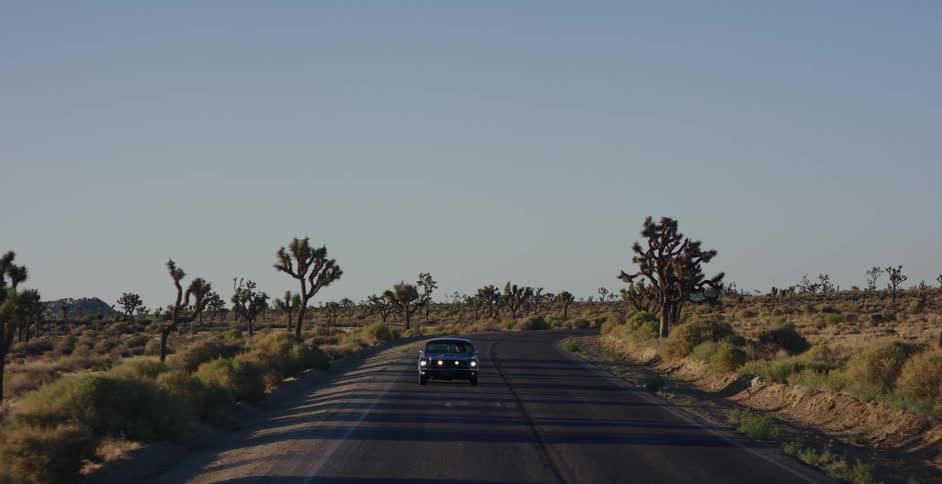 A vintage black car drives down a winding desert road lined with Joshua trees at golden hour