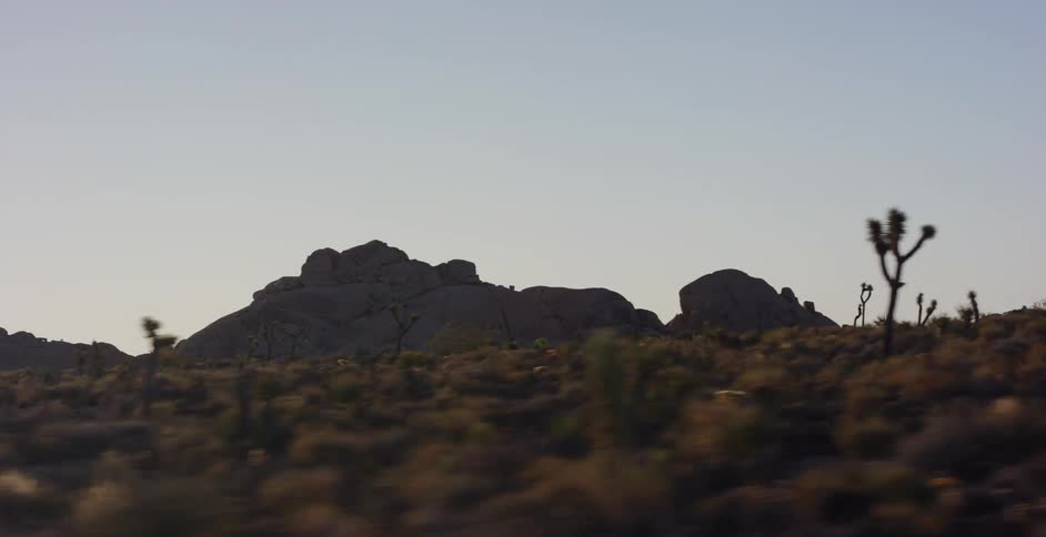 A slow-motion drive-by shot of the desert landscape in Joshua Tree National Park during a beautiful golden hour