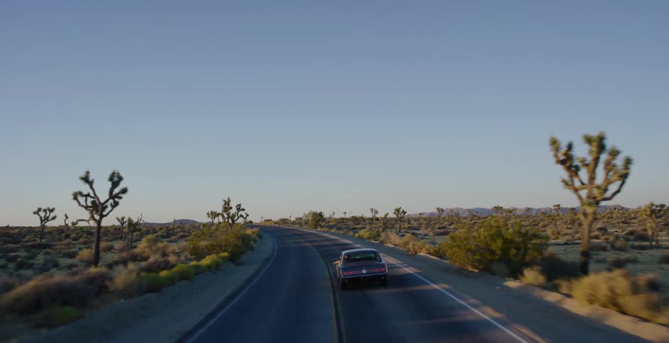 A classic American muscle car cruises down a scenic desert highway surrounded by Joshua trees during a beautiful golden hour sunset