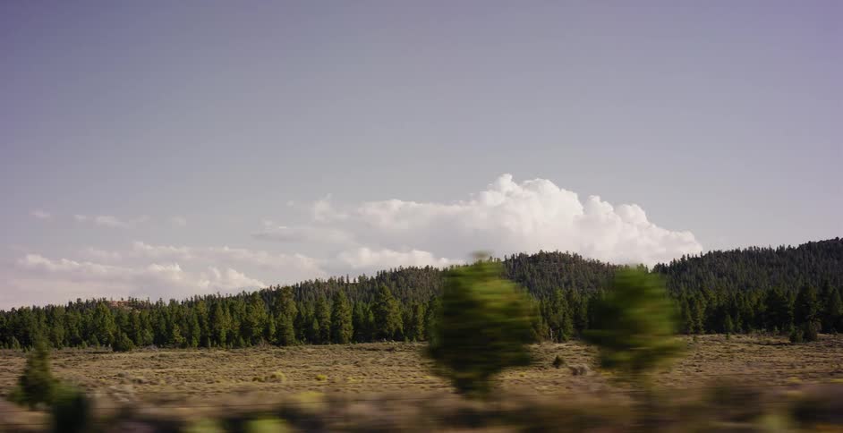 A side-view from a moving vehicle captures a scenic landscape of pine-covered hills under a partly cloudy sky
