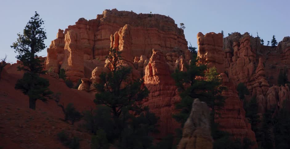 A slow tracking shot of majestic red rock hoodoos and pine trees in a Utah canyon during golden hour