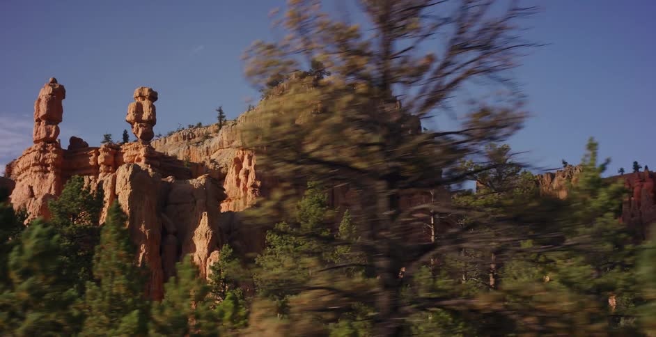 A scenic drive past towering orange rock hoodoos and a dense pine forest under a clear blue sky