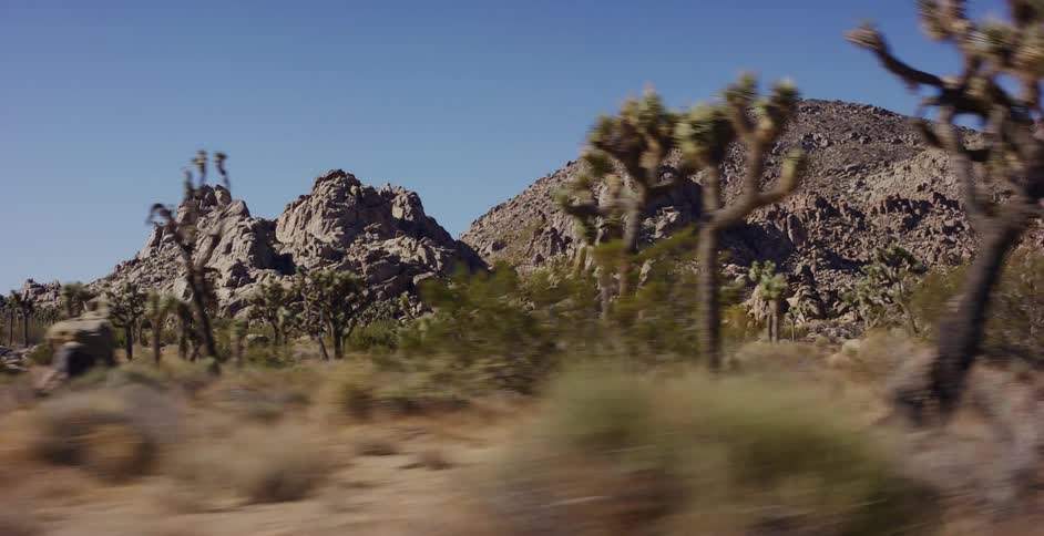 A cinematic drive-by shot reveals the iconic flora and rugged, rocky mountains of Joshua Tree National Park under a clear blue sky