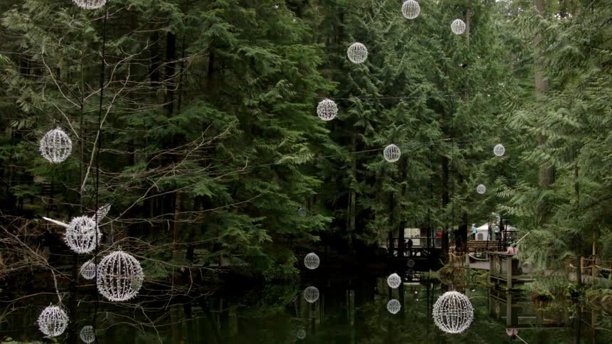 The water has bulbs all over by the trees and water