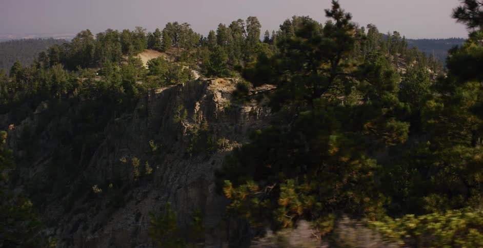 A cinematic tracking shot reveals a dense pine forest on the edge of a rugged mountain cliff