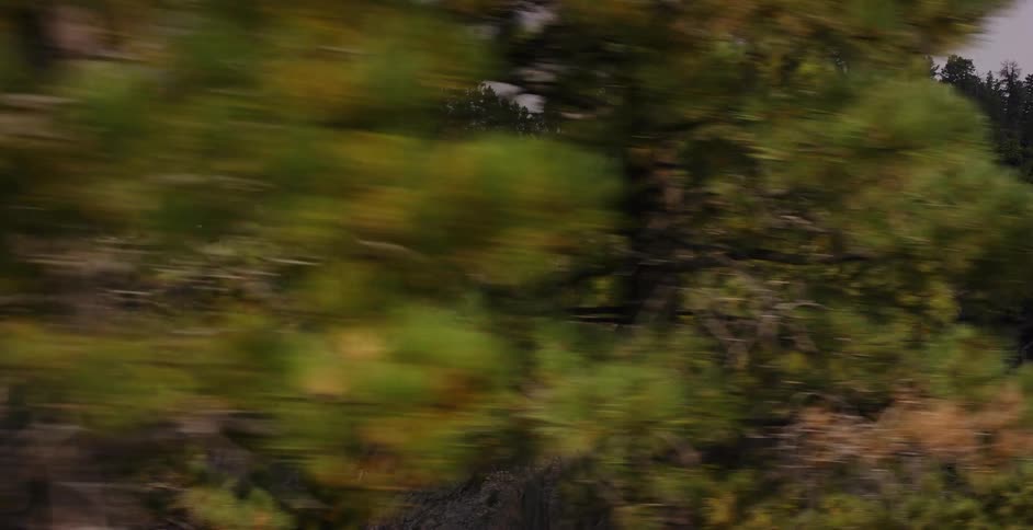 A smooth tracking shot moves past pine trees to reveal a rugged, forested cliff face on a mountainside