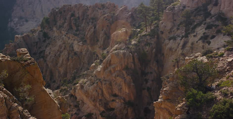 Panning across a majestic, sun-drenched canyon reveals its rugged rock formations and sparse pine trees