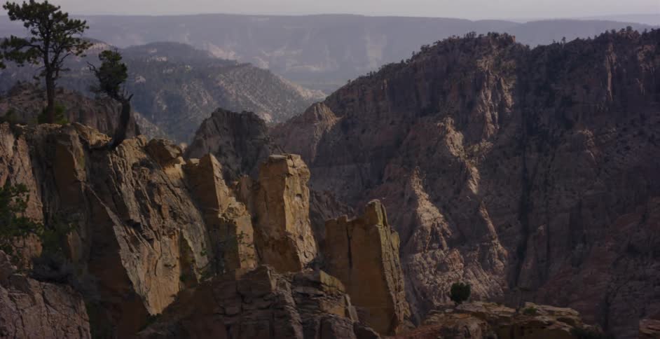 A slow revealing shot of a vast and rugged mountain canyon with weathered trees clinging to the cliffs