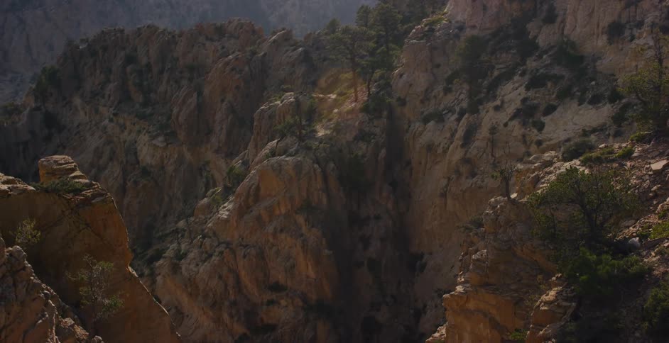 A slow reveal past a pine tree to an expansive, rocky mountain canyon landscape