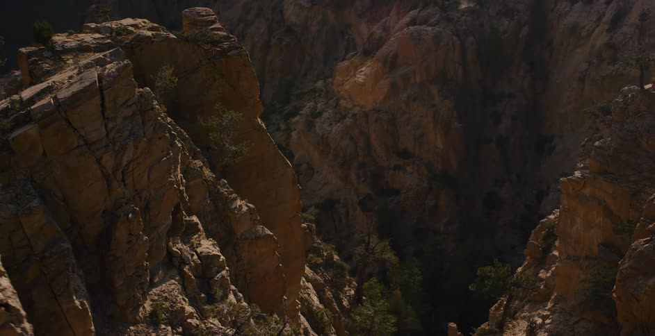 Slowly pulling back from a forested cliff to reveal the immense scale of a rugged, sunlit canyon