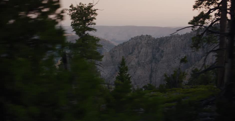 A cinematic pan reveals a vast mountain canyon landscape through a dark pine forest at dusk