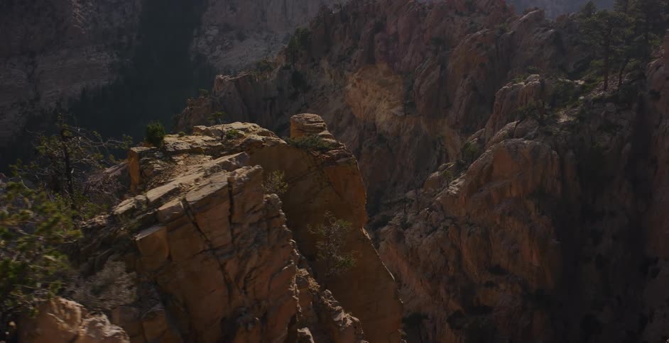 A slow pan reveals a vast and rugged mountain canyon landscape from behind pine trees on a cliff edge