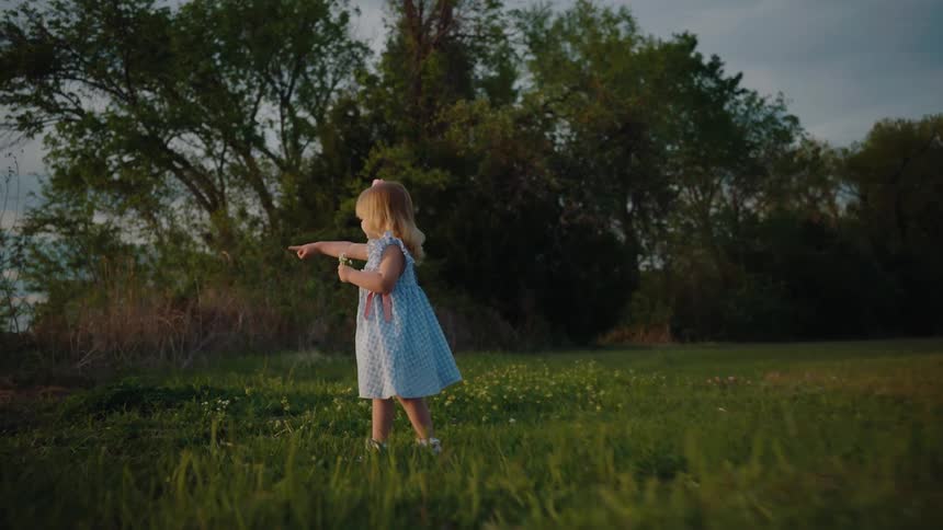 A young girl in a blue gingham dress holding a flower walks and spins through a grassy meadow at sunset