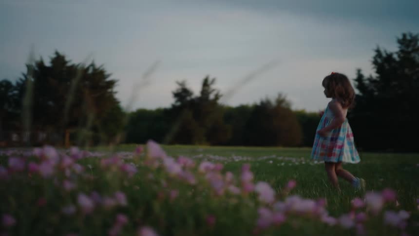 A little girl in a colorful dress runs through a beautiful meadow of pink wildflowers during a soft, picturesque dusk