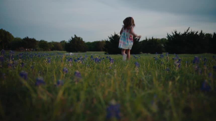 A little girl in a summer dress playfully runs through a beautiful field of bluebonnets in slow motion at dusk