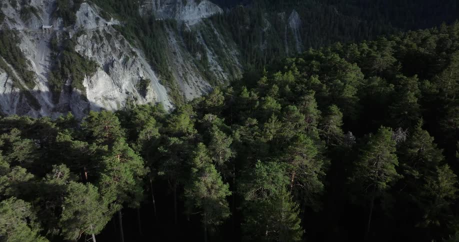 A breathtaking aerial flyover of a dense evergreen forest reveals a majestic river gorge carved into the mountainside