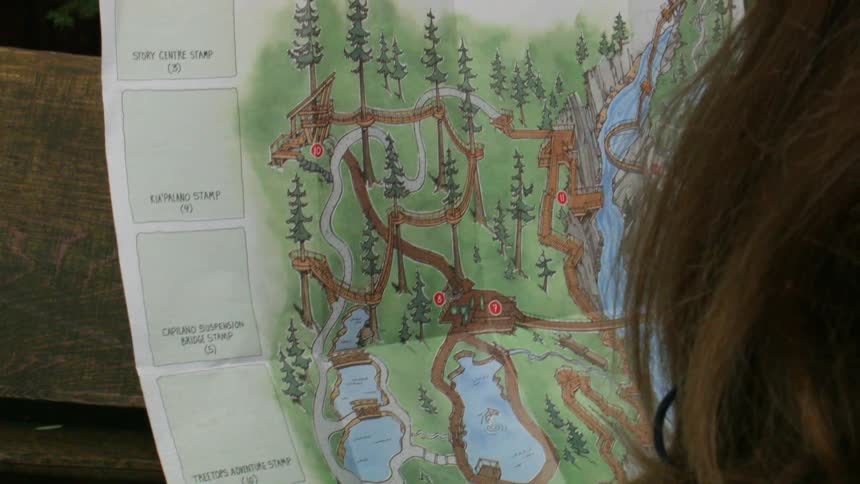 Person looking at a colorful map