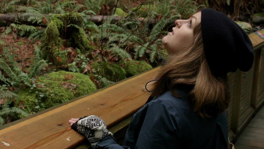 A woman stands at a railing in a rainforest looking upward