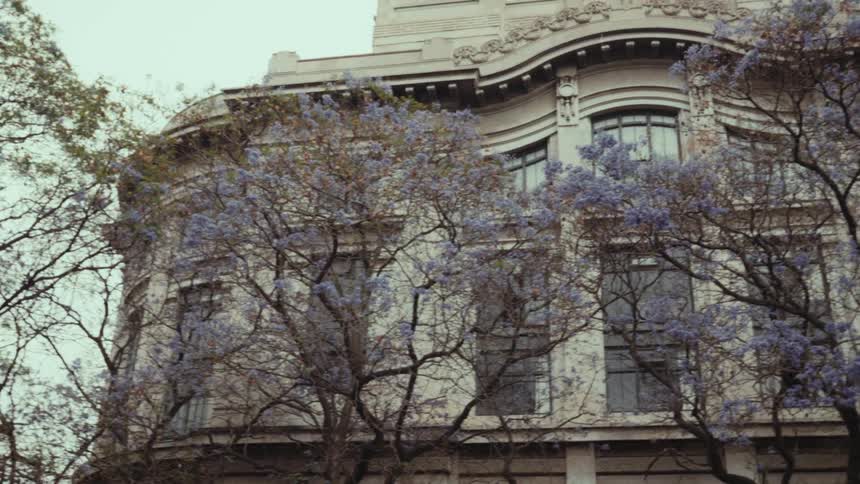 A classic Art Nouveau Metro sign is framed by blooming purple jacaranda trees with an elegant building in the background