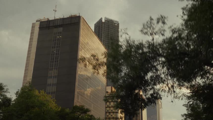 A slow dolly shot past windy trees reveals modern glass skyscrapers under a dramatic, overcast sky