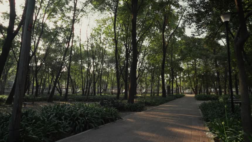 A tranquil panning shot reveals a beautiful city park with sunlight filtering through the lush green trees