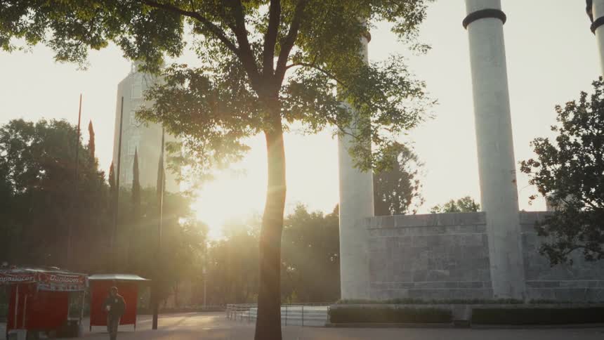 Golden sunrise light flares behind a large tree in a city park with a monument and skyscrapers in the background