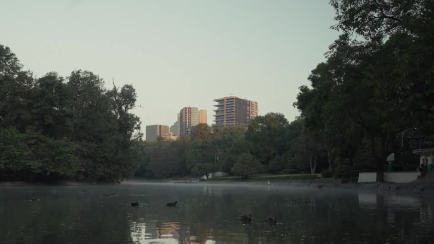 Ducks swim peacefully in a misty park lake with the city skyline emerging through the trees at dawn