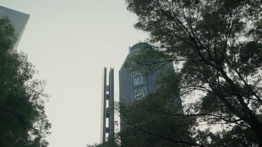 A modern city skyscraper is slowly revealed from behind dark, swaying tree branches on a cloudy day
