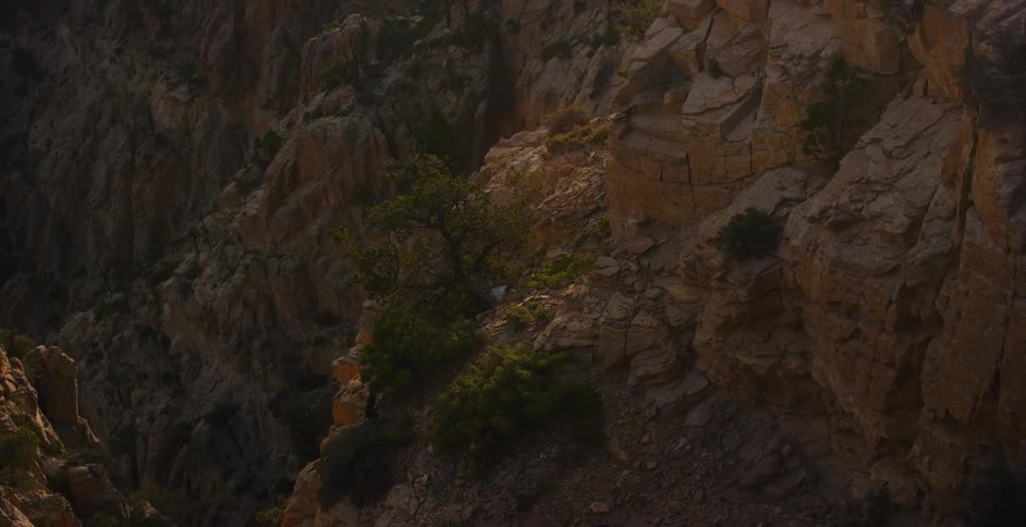 A slow tilt up shot reveals the dramatic, sunlit cliffs of a rugged mountain canyon at sunrise