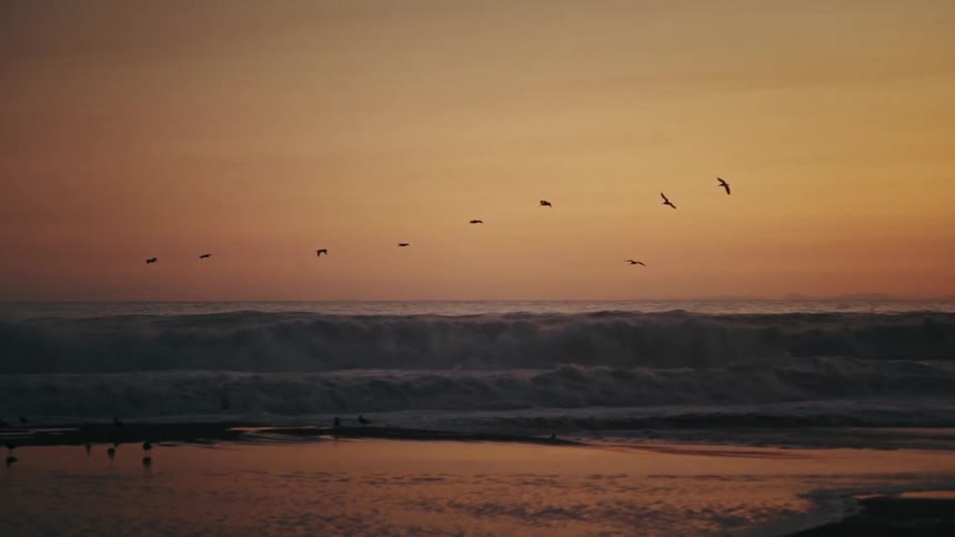 A flock of seabirds soars in slow motion across a vibrant sunset sky as large ocean waves crash onto the shore