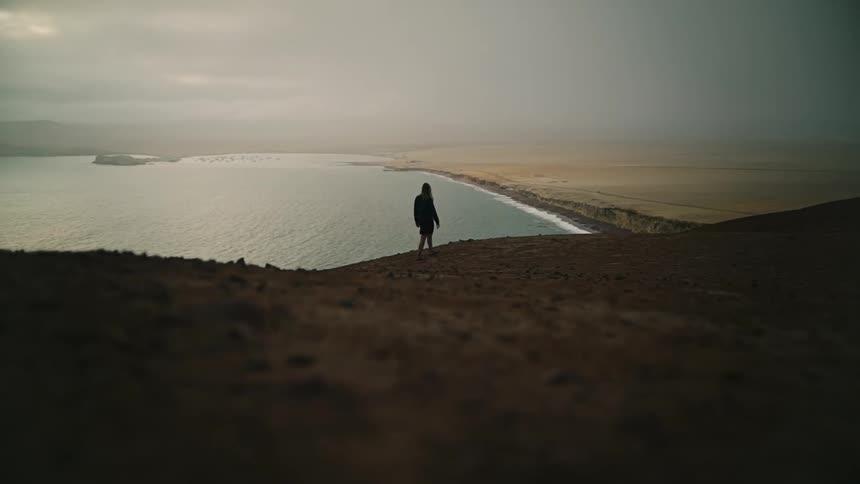 A lone figure walks along a desolate cliff's edge, overlooking a vast bay and desert landscape under a moody, overcast sky