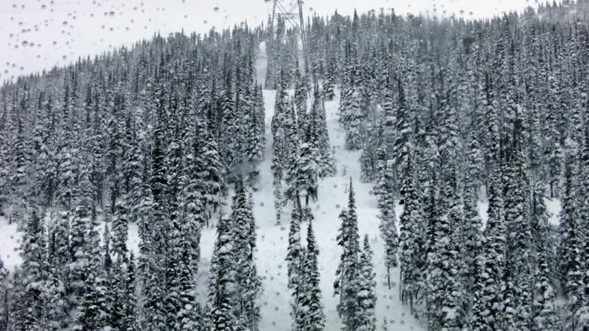 A snowy forested mountain