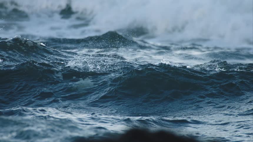 A pair of Eider ducks float calmly on the turbulent ocean waves before one dives under the water in stunning slow motion