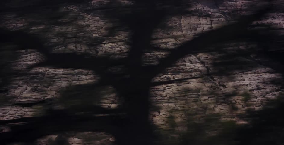 A fast-moving tracking shot reveals the textured details of a massive sandstone cliff face as trees blur in the foreground