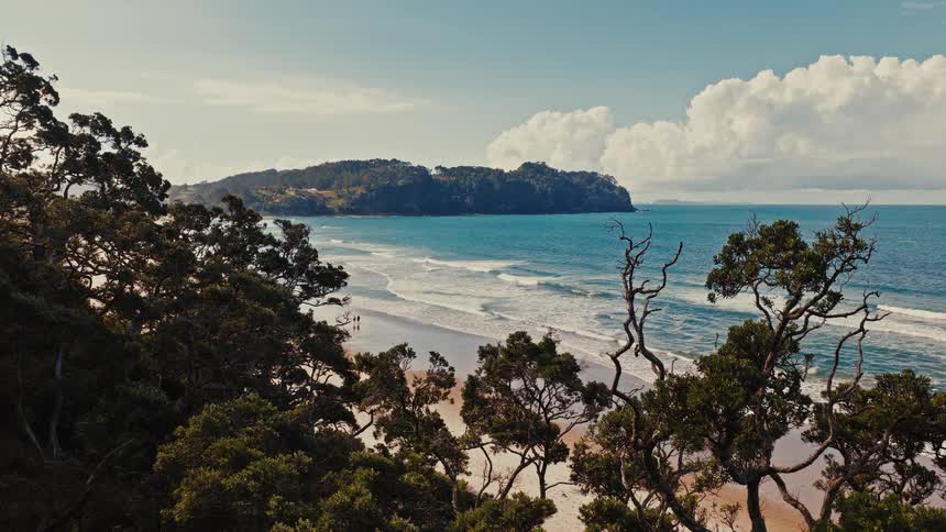 A scenic coastal view from a clifftop shows a sandy beach, rolling waves, and a distant headland, framed by lush green trees