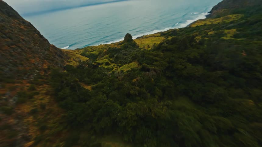 A thrilling vertical FPV drone view flies rapidly over a lush green mountain coastline next to the vast ocean