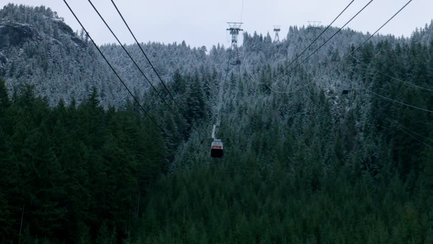 A lift is transporting people above the trees