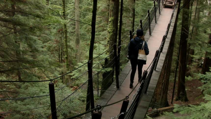 A woman walks across a bridge in the woods