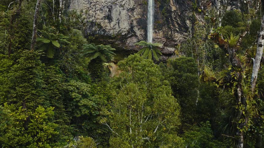 A stunning aerial shot slowly pushes through a lush, dense rainforest, revealing a beautiful waterfall cascading down a rocky cliff