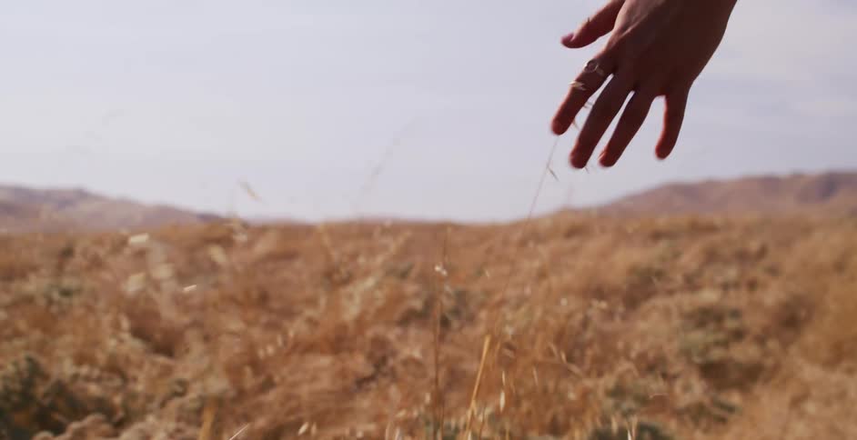A woman's hand gently glides through a field of golden, sun-drenched grass in beautiful slow motion