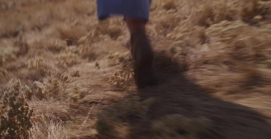 A person wearing brown boots and blue pants runs through a field of tall, dry, golden grass on a sunny day