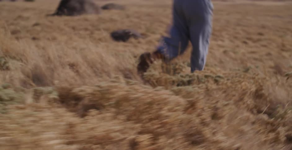A slow-motion close-up follows a person's legs as they run through a dry, golden field of grass in the hills