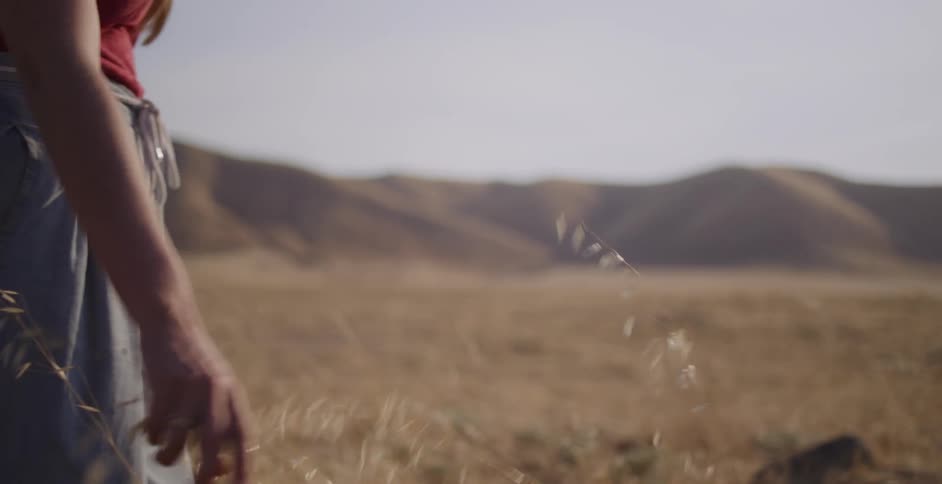 In slow motion, a person's hand gently grazes the tops of tall, dry grass in a sunlit field with rolling hills in the distance