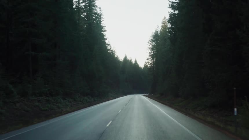Traveling down a forest surrounded highway on overcast day