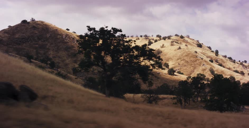 A tracking shot from a moving vehicle captures a scenic view of golden, rolling hills dotted with trees under a cloudy sky